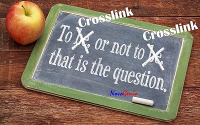 Polyolefin (PO) Encapsulants: To Crosslink or not to Crosslink, That is the Question