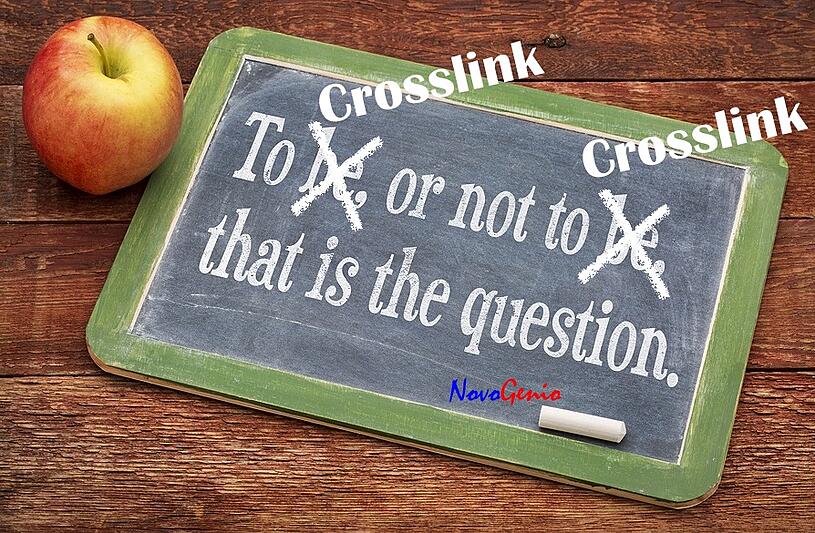 Polyolefin (PO) Encapsulants: To Crosslink or not to Crosslink, That is the Question